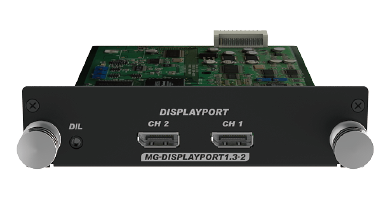 dp1.3.png